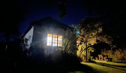 IMG_0079